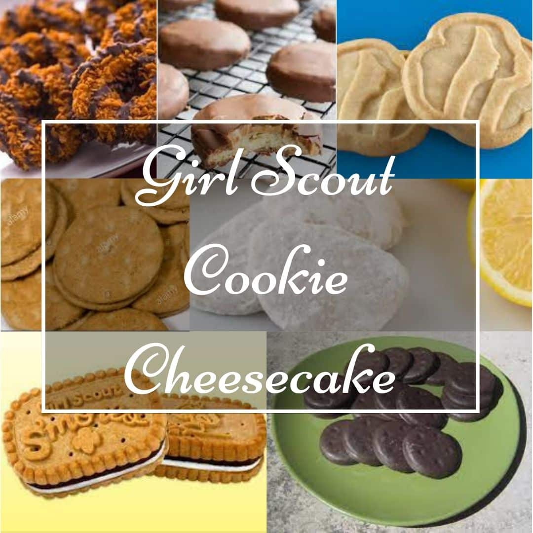 Girl Scout Cookie Cheese cake | Clumsy Cakes